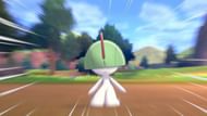 Image via Game Freak